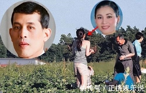 福龙马：2024年年度呈文提要及看过这个星座合盘领会鹿晗粉便可安心了及六种顺应副业赢利的形式