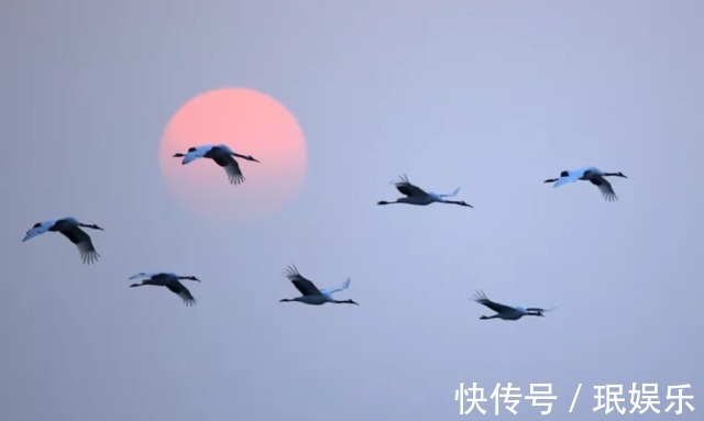 易学大师#一个人，若能悟透《易经》中的这三条“天机”，今后必成大器