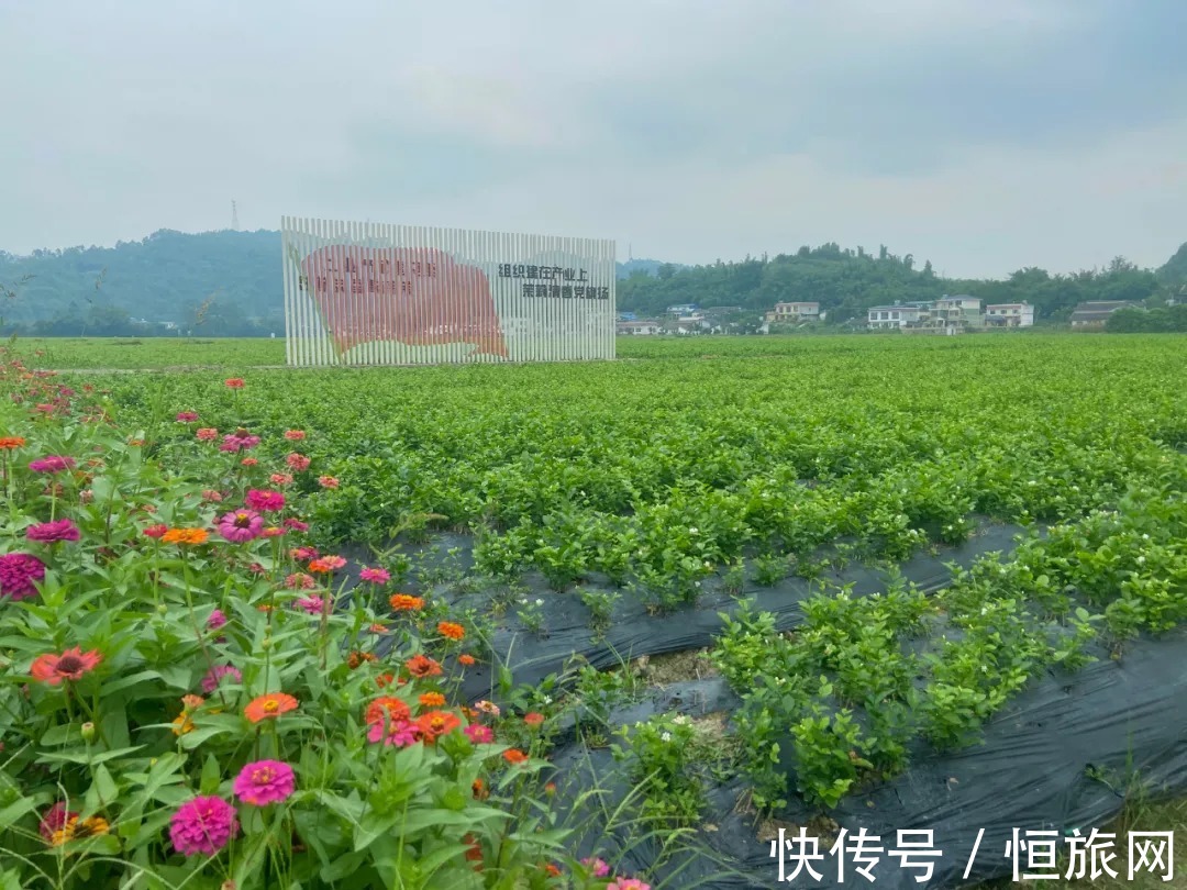 从哪一站上车，开往故乡……|旅博动态 | 示范村