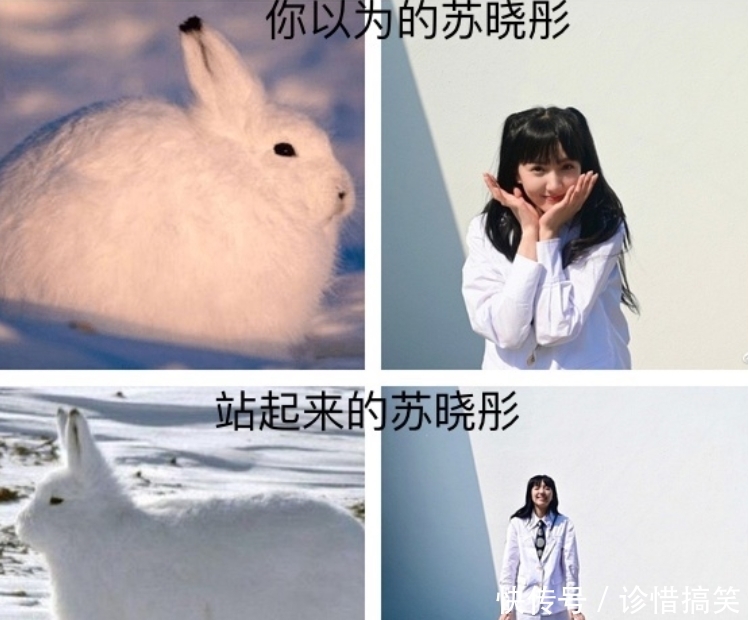 苏晓彤|《御赐小仵作》直播扫楼,楚瑜CP营业,苏晓彤身高让人看愣了