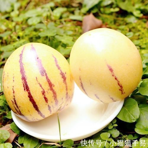 女性晚上当零食吃,美容养颜,排毒通便,不想老的快的可以试一试