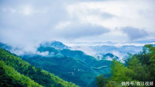 了不起！杭州发现3亿年前活化石！规模之大，全国罕见