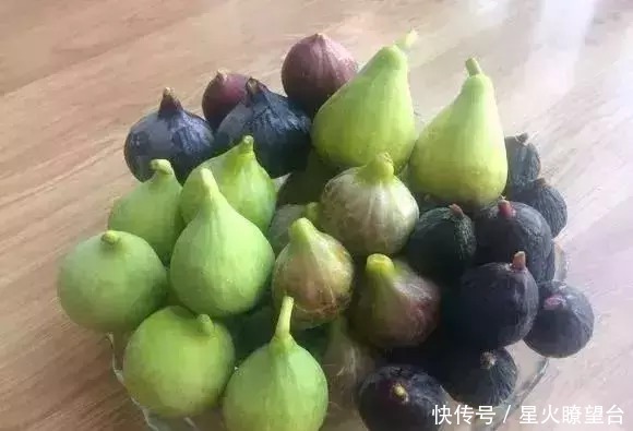 1根枝条插土里，10天生根，来年结果，一结一箩筐，吃不完！