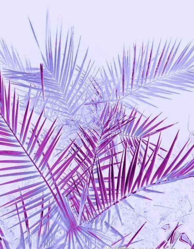 紫色是一|象征着灵性的紫色为什么是顶轮的颜色fashion色彩心理