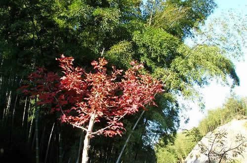 总是睡不着,半夜莫名醒来?或是这三种疾病在打招呼,重视起来