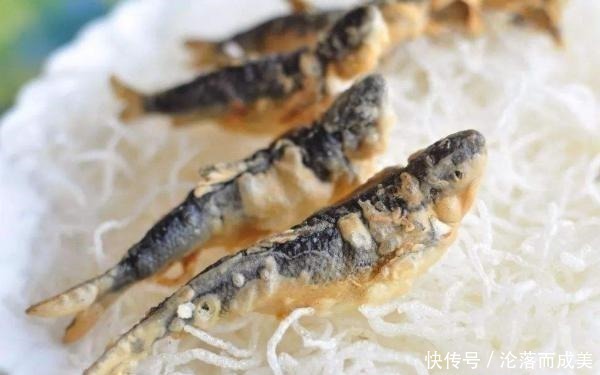 这鱼3年才长9厘米,常常被误认为小杂鱼,营养丰富,遇到别错过