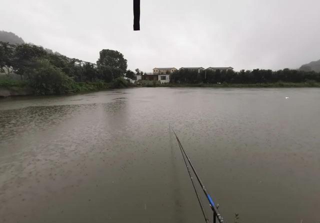 饵料|跟着大师学钓鱼,越学越钓不到鱼?我来告诉你几个真相