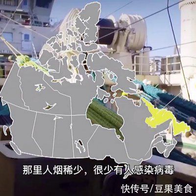 #我心中的冬日限定#解饥又暖胃,加拿大北极虾鲜肉云吞