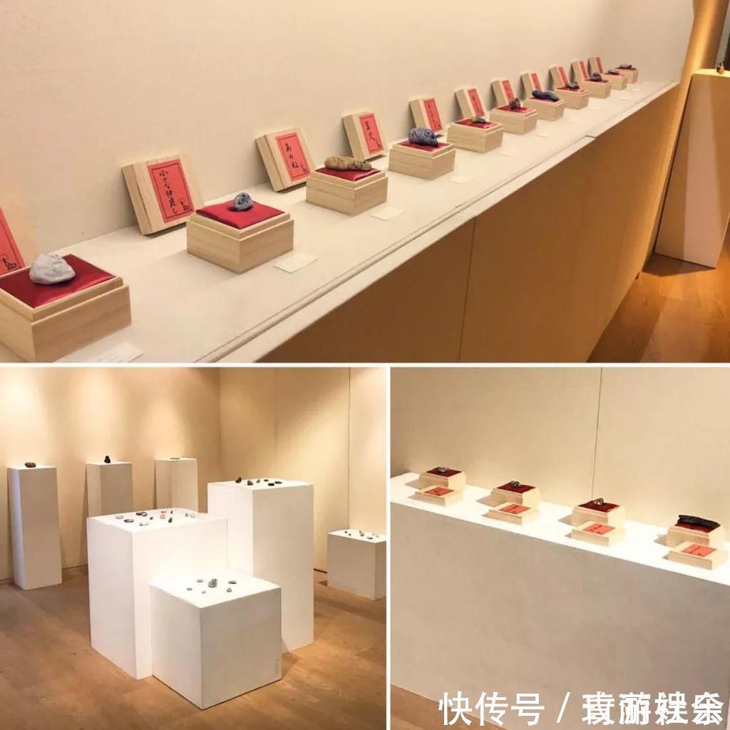 小姐姐$在石头上画画!日本小姐姐笔下的萌宠,惹9万网友围观:也想要一个