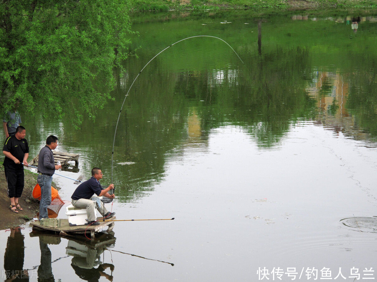 钓鱼|连路人都知道邓刚，为啥他这么火？钓鱼一样可以很有趣