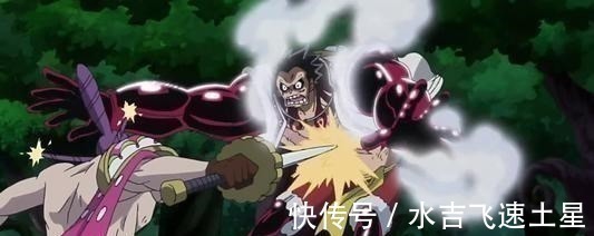 新世界|海贼王 曾经无敌的自然系,究竟发生了什么让它成为鸡肋般存在