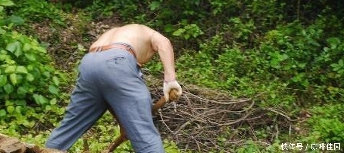 清洗|男人下地耕作捡到一块奇怪石头,仔细清洗之后,让他乐开了花