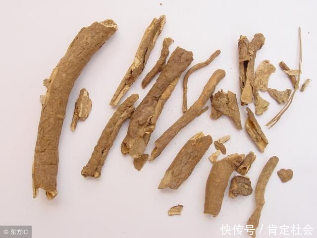 大黄|中药荟萃,养生长寿的几味中药,少生病更健康