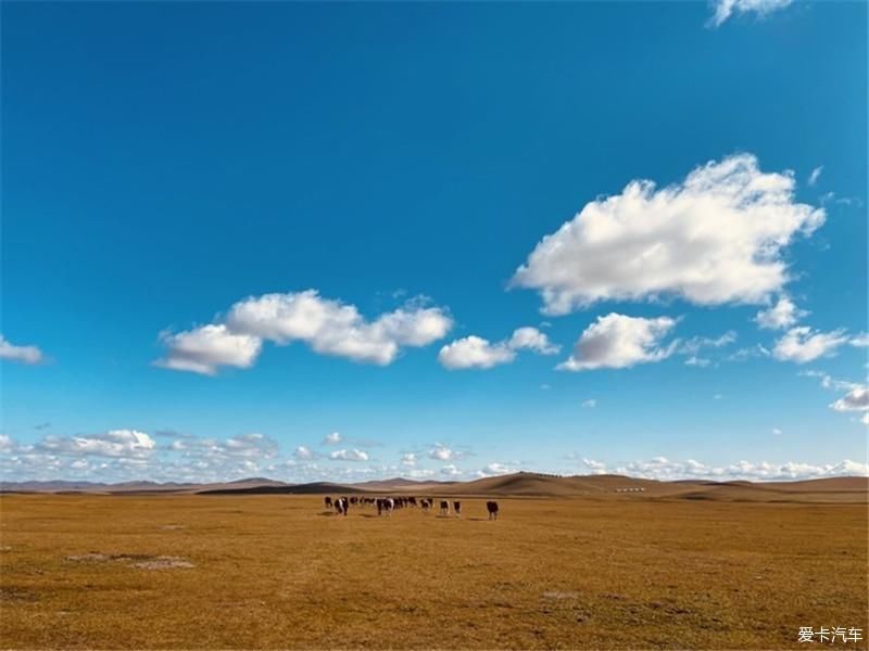 内蒙古行之呼伦贝尔大草原！