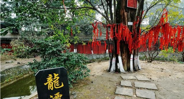 奇观|成都闹市中有一处皇家寺院，有1800多年历史，四大奇观和四大奇景