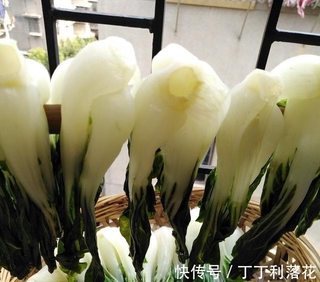 这几种蔬菜晒干后，比新鲜的还好吃，干净卫生也不贵炖肉吃很香！