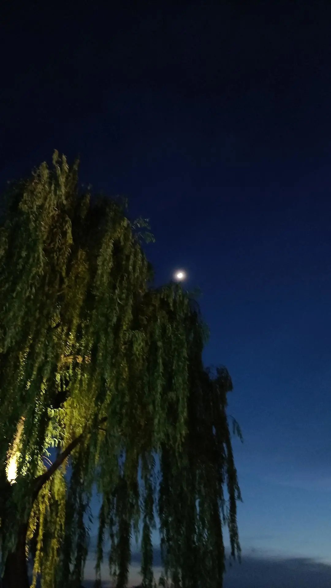 古诗|诗词丨给40首古诗加上配图,恍然大悟,惊为天人