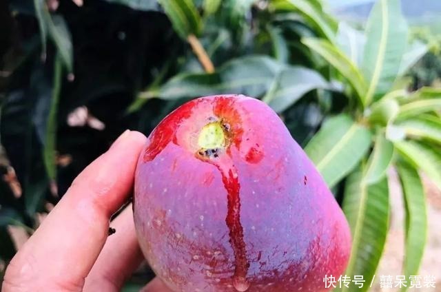 人到中老年,不管有钱没钱,建议常吃这3种食物,比保健品强多了!