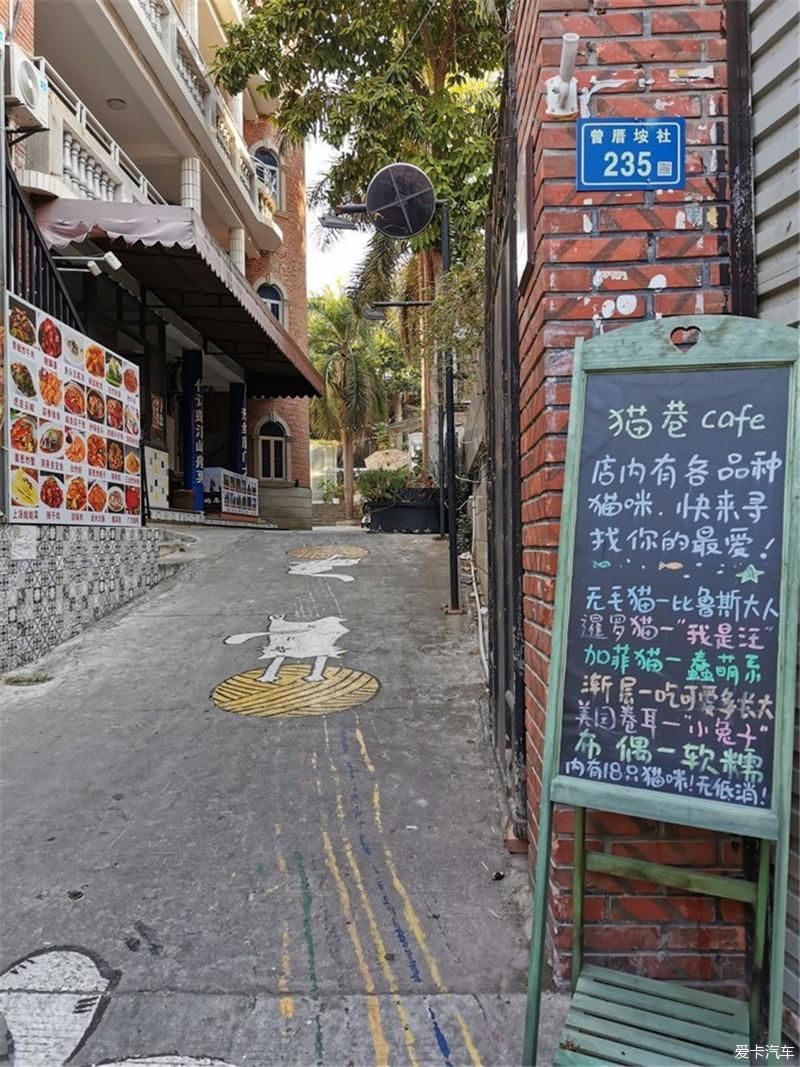 花海|厦门自由行