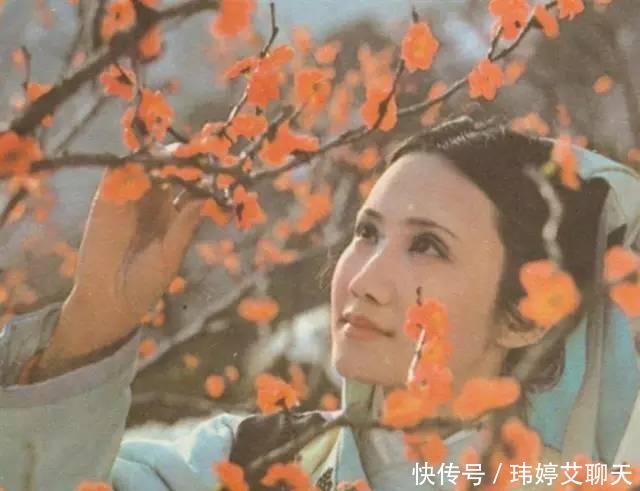 薛宝钗|红楼梦99人物介绍,几分钟看懂红楼梦!