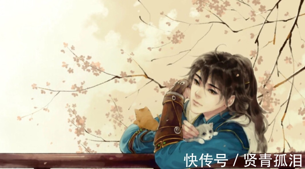 悲伤&辛弃疾很悲伤的一首词,写尽了人生的无奈,最后两句过于真实