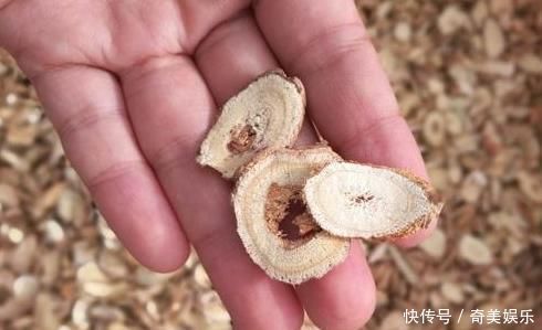 中药材|乡下一种珍贵草,人称“黄人参”,地下根茎是宝贝,看到别忽视