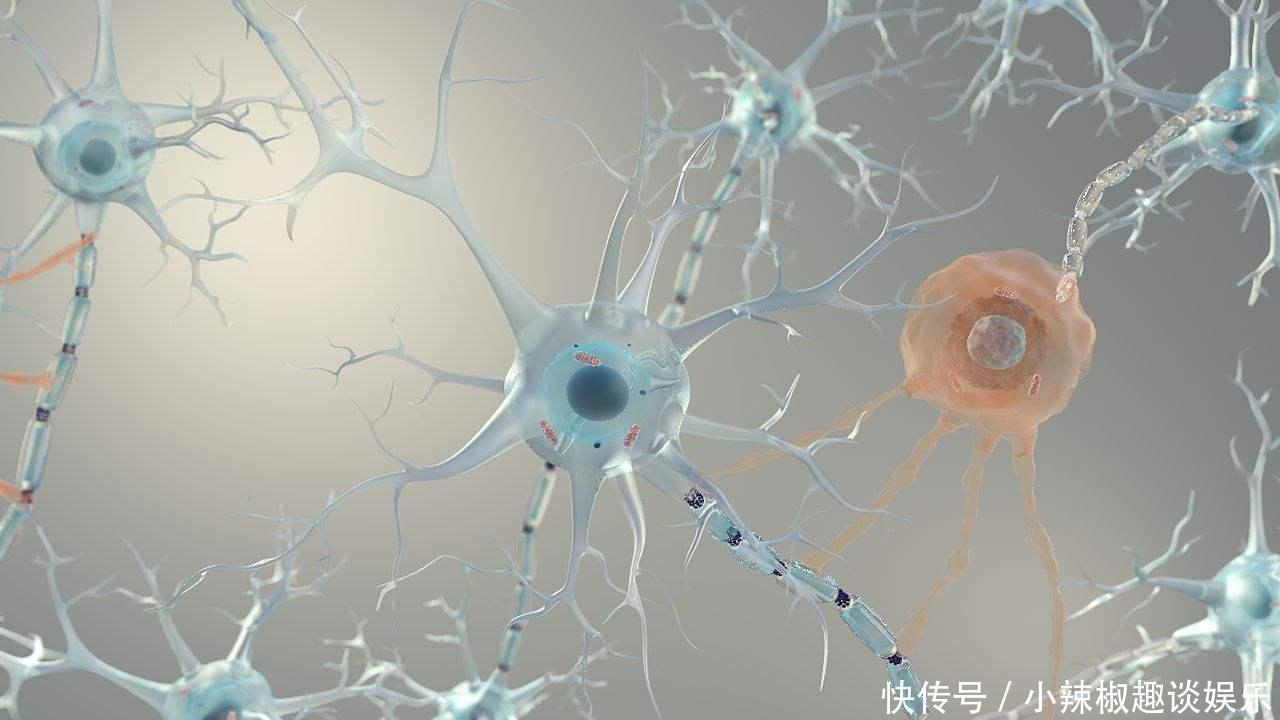 保护心脑血管,预防脑梗发生,养成以下4个习惯