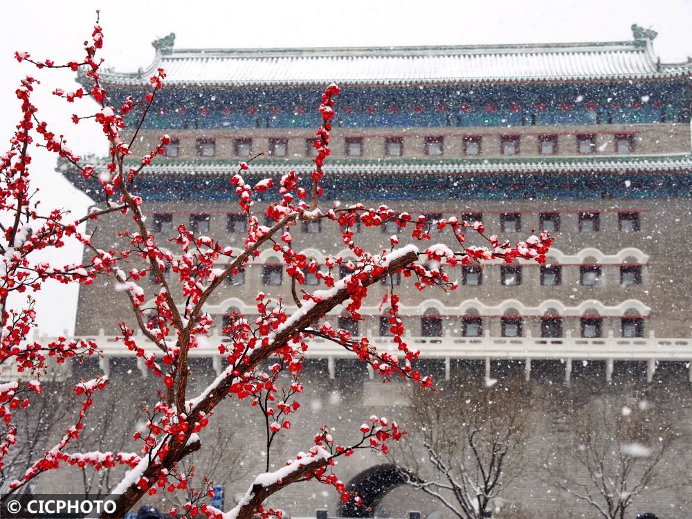 瞿明斌|飞雪迎春到