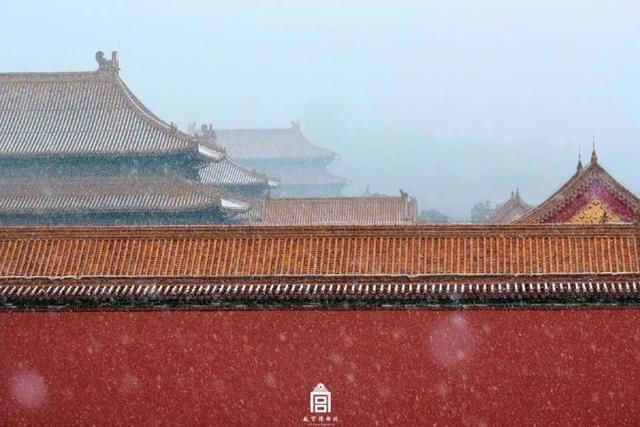 气温|热搜！故宫第一场雪美哭了