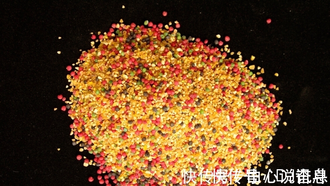 钓鱼人|钓鱼潜规则知多少?这8种大忌不能犯,全做到的算真钓鱼人