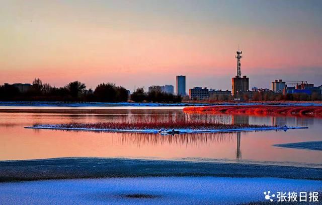 湿地|暖阳、湿地、芦苇荡……，恍然一幅画境