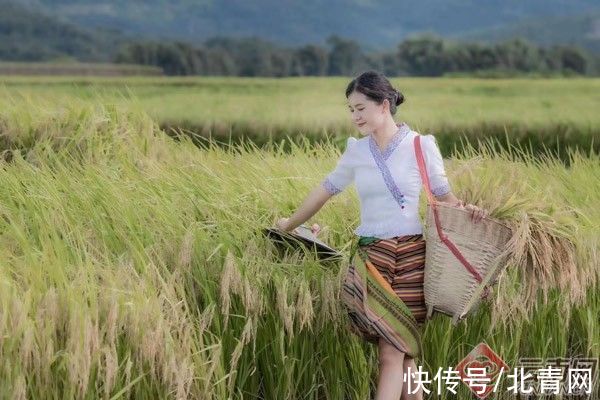 遮放米|酸茶配米饭 人人都点赞“芒市谷子遮放米”亮出城市“白金名片”