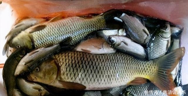 寒风|透析冬季筏竿钓鲫,直击作钓误区,给寒风中的自己增加点鱼获