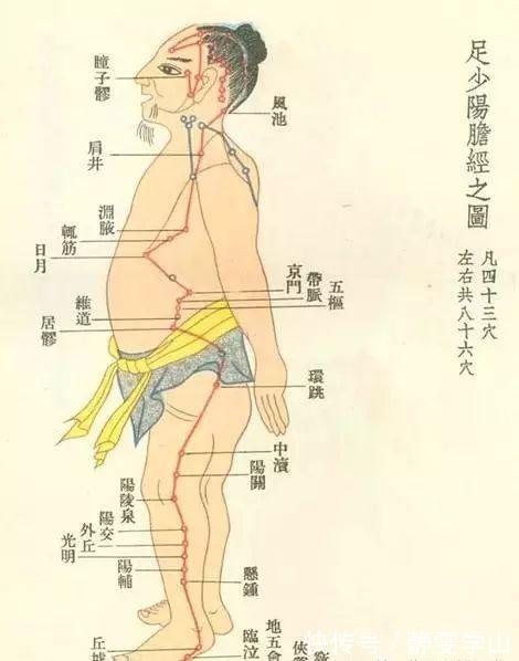 功能失调|肥胖是你这里不通,瘦大腿,瘦肚子,瘦背其实并不难!