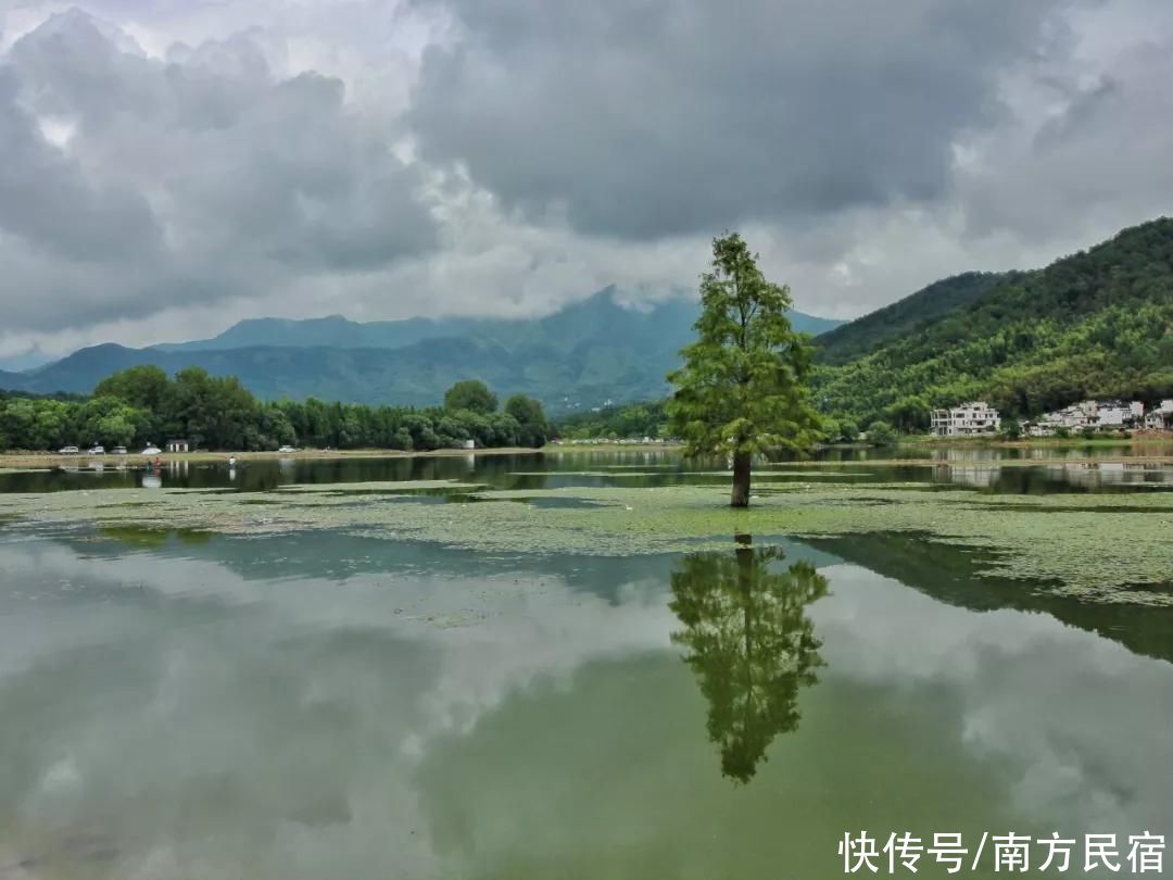 来回|徽州村落亲子民宿性价比之王！树屋泳池、田园童趣丨黄山旧街墨野