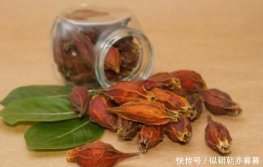 水分|刮痧拔罐、红豆薏米都能祛湿提醒方法错误,没准越祛越湿