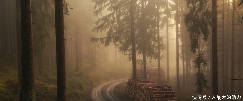 乡村|美图欣赏之中国乡村的美好图景