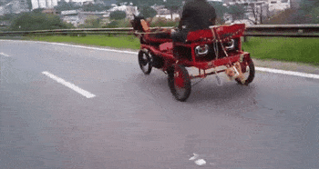 |搞笑GIF:盘了三年的老馒头,看看这硬度还可以吧!