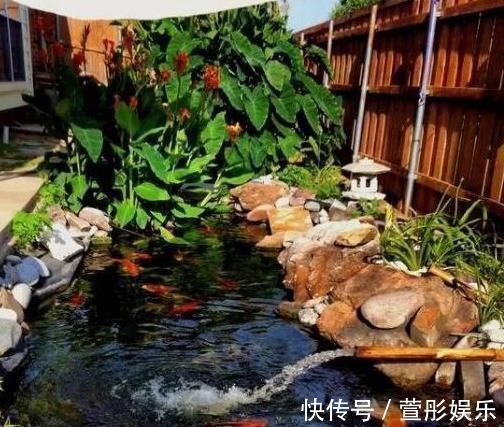 设计|如果住在一楼, 一定要借鉴这样的景观设计, 不仅美观实用还有品位