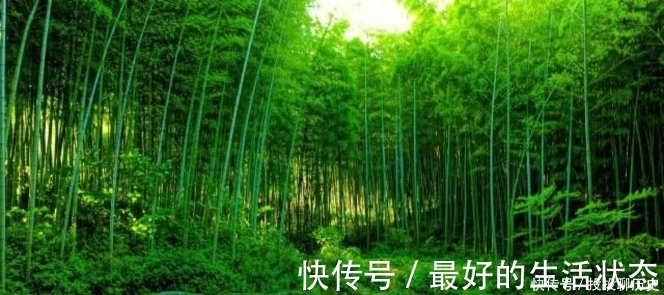 苏轼|苏轼这首词很显然是被低估了，也是难得的佳作，通篇美得令人心醉