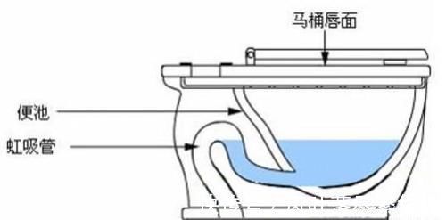 法兰|虹吸式坐便新装不到一年，下水已经很慢了，该怎么解决？