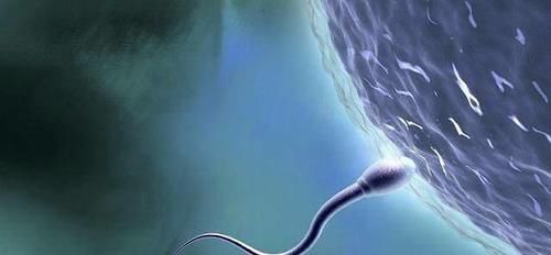 女人最晚多少岁还能生孩子？看看你的生育年龄还符合吗？