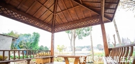 薛之謙|這位復(fù)旦博士把崇明老宅建成民宿，楊超越、薛之謙都趕來打卡