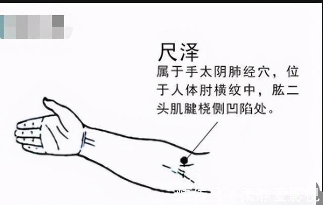 合穴|12合穴，为六腑打好基础，脏腑健康人才健康