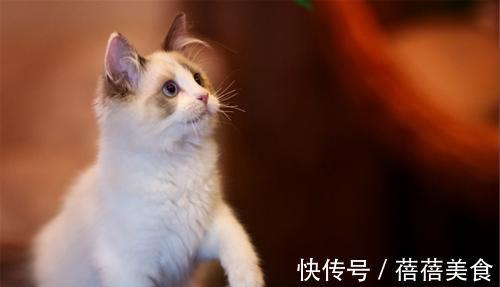 |幽默笑话:今天刚领了工资,带儿子去商场逛了一整天