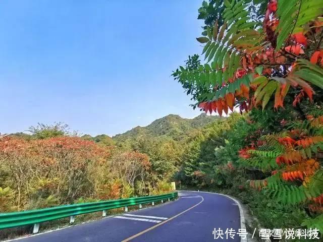 沿盘山公路入峡谷湖畔 “颜值逆天”绝美秋色就藏在这里