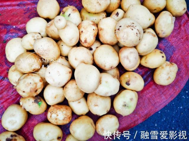 西红柿|这5种“有害”的蔬菜,比农药危害还大,家里有的要留意