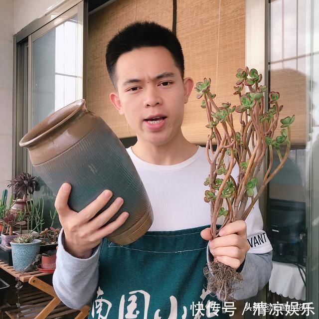 多肉盛夏“浇水经”1分钟学会,度夏不用愁,高温亦无忧