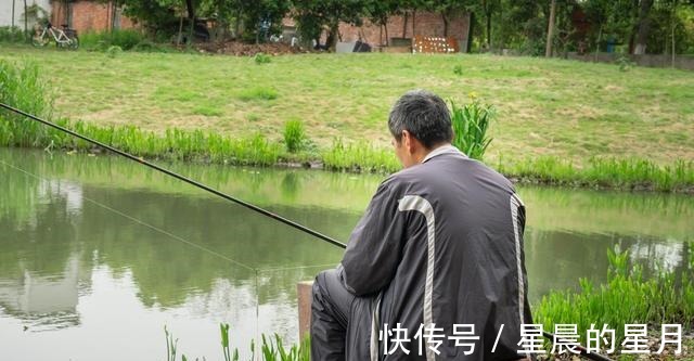 野钓鲫鱼和鲤鱼等淡水鱼如何用麦谷做窝料野钓窝料的制作要点！