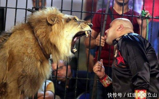 马戛尔尼|从未来过中国的欧洲名人,却点评中国醒后必撼动世界,今如数应验